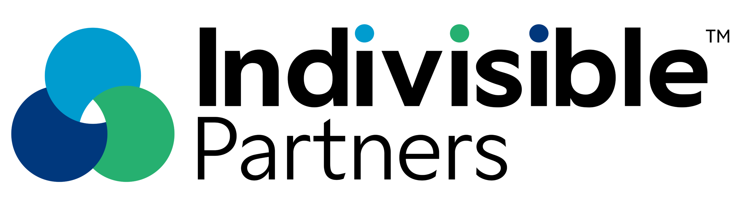 Indivisible Partners Logo