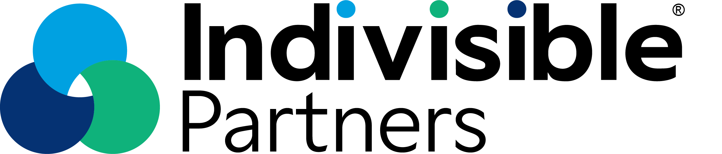 Indivisible Partners Logo